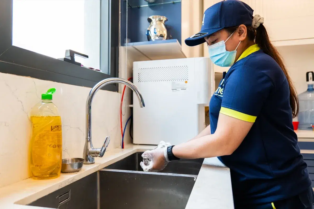 Scrubbing the kitchen sink